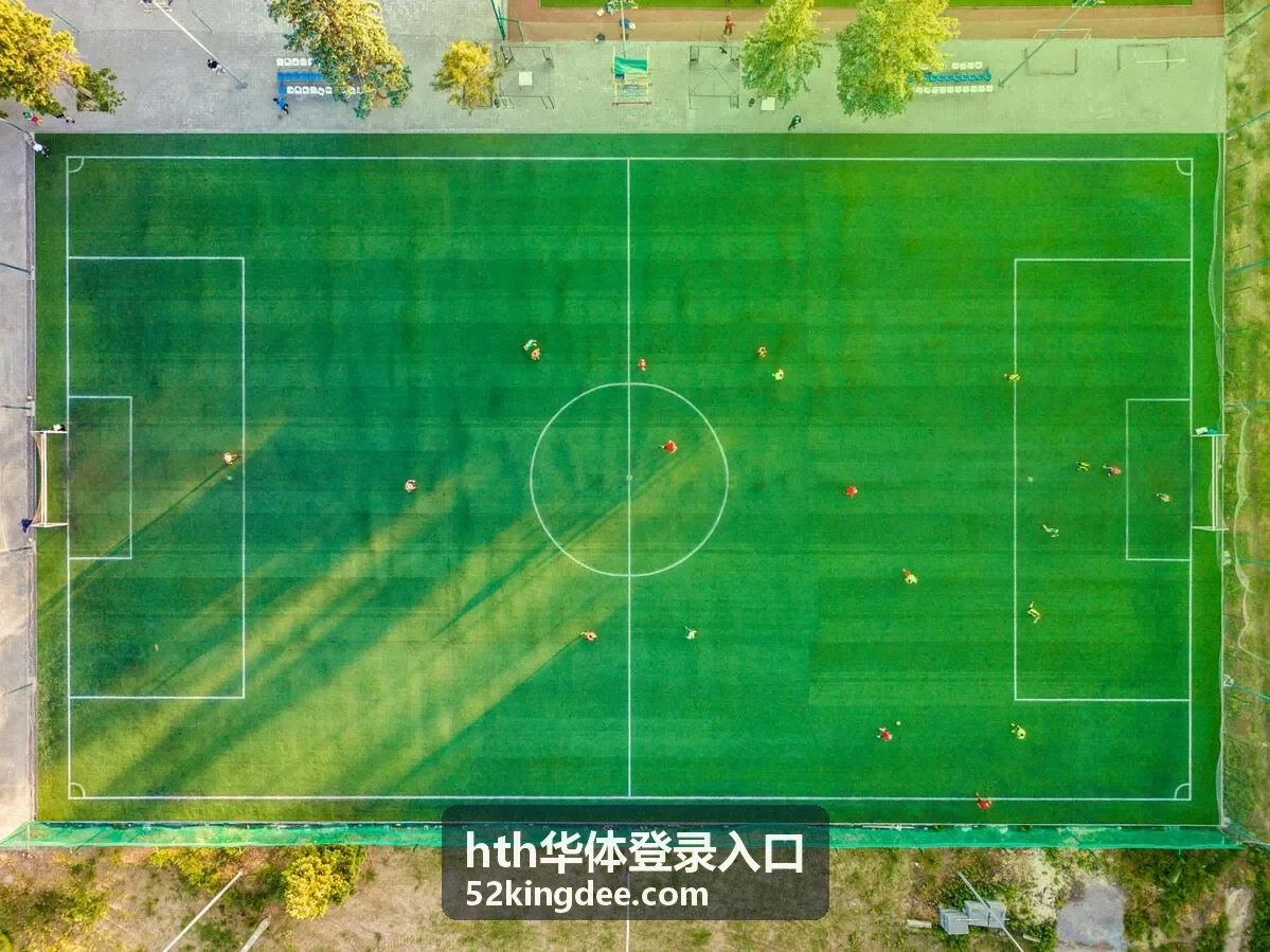 hth华体登录入口 入口页面示意