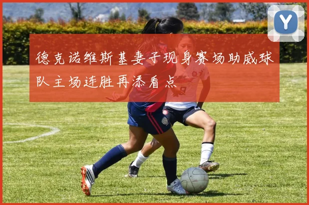 德克诺维斯基妻子现身赛场助威球队主场连胜再添看点