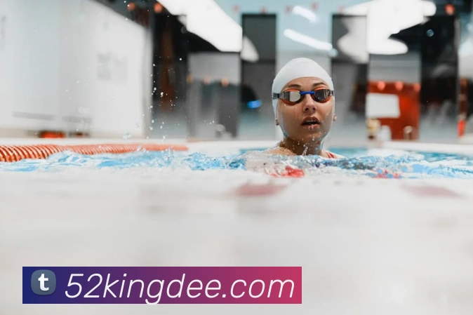 世界杯开户平台平台生态图